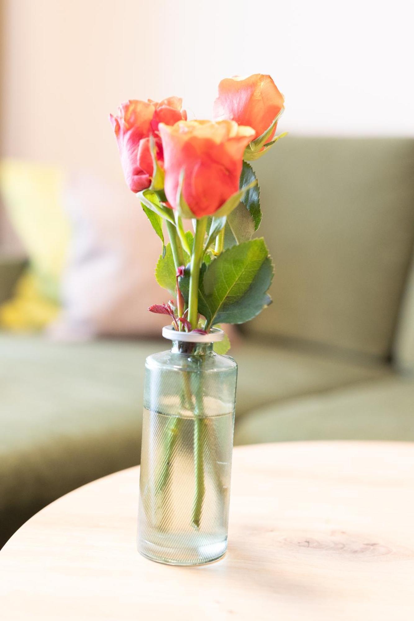 Appartementdeluxe Steiert - Near Europa Park - Rulantica - Spacious - Fully Equipped Kitchen - Private Garden - Free Parking - Pet Friendly ชวาเนา ภายนอก รูปภาพ